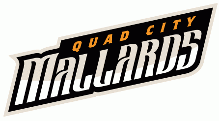 quad city mallards 2014-pres wordmark logo iron on transfers for clothing